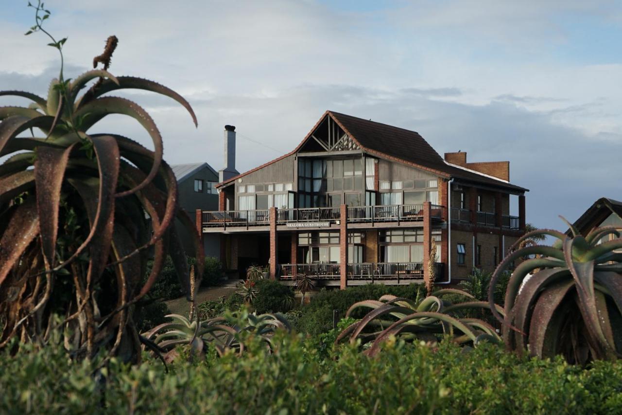 Shaloha Guesthouse On Supertubes Jeffreys Bay Eksteriør bilde